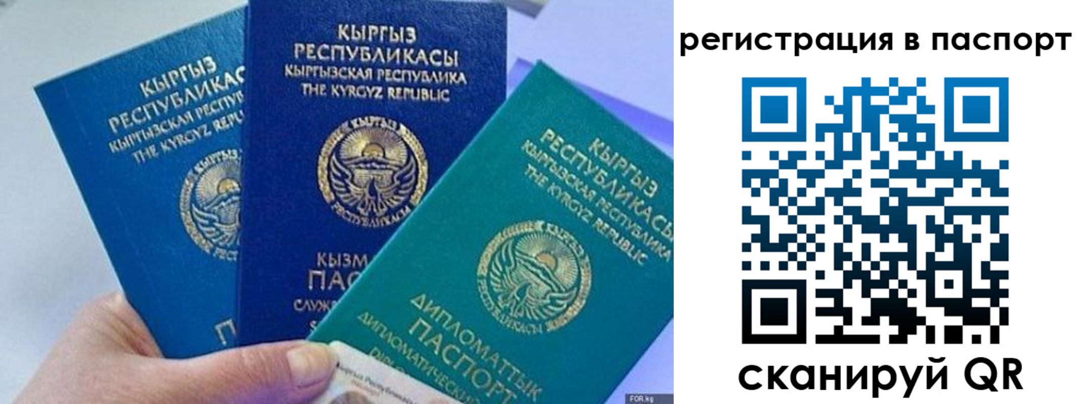 прописка 2025 в Фрязино